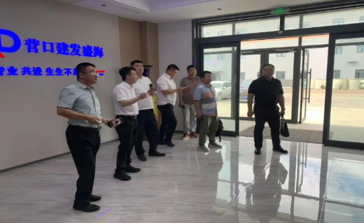 辽宁（营口）沿海产业基地对接新能源重卡充换电站项目 赋能零碳绿色物流发展